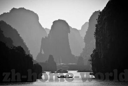 足球比分11-从11看足球，比分背后的激情、战术与人生哲学